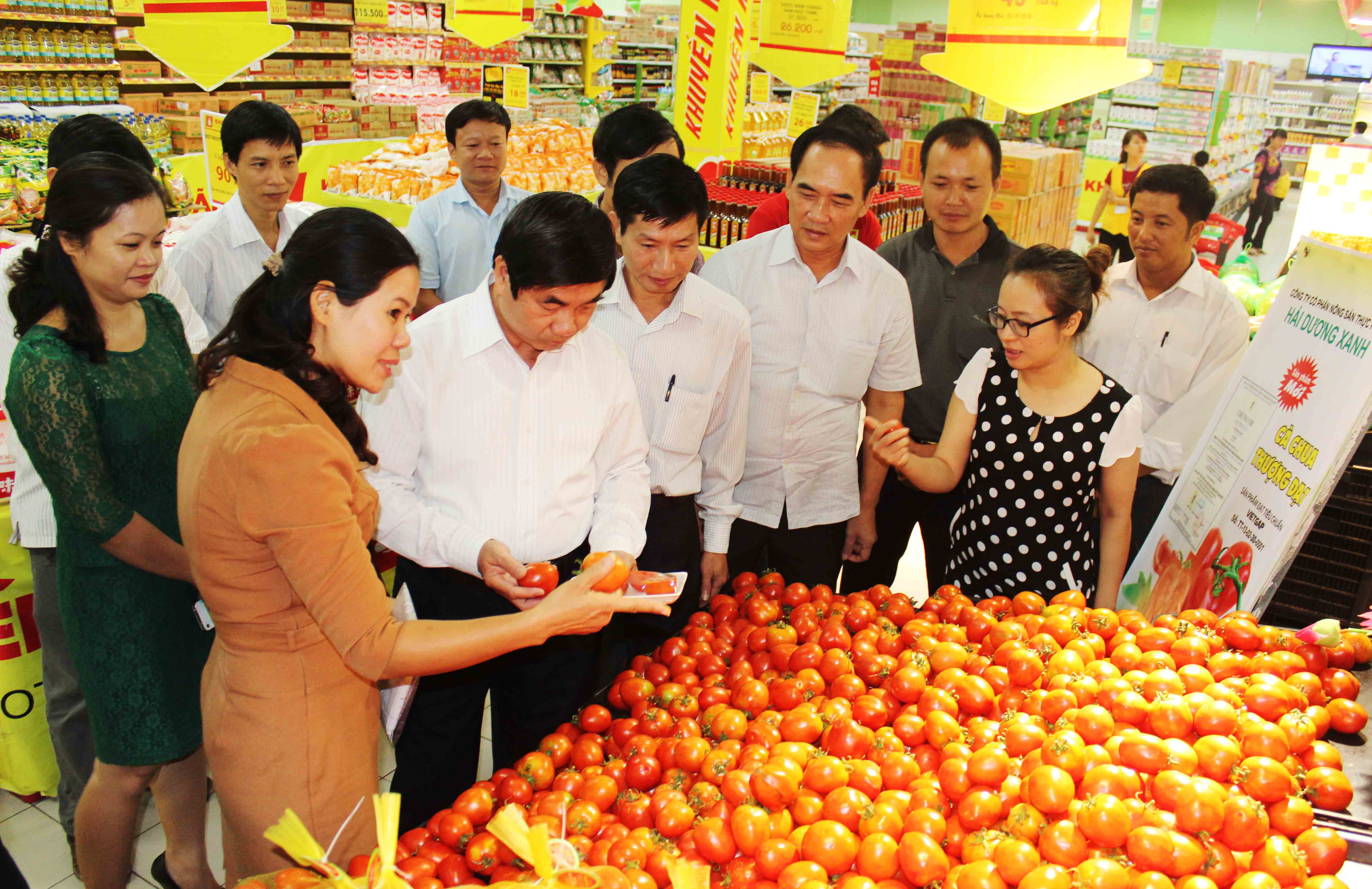 Hải Dương: Mô hình sản xuất rau quả tươi an toàn VietGAP